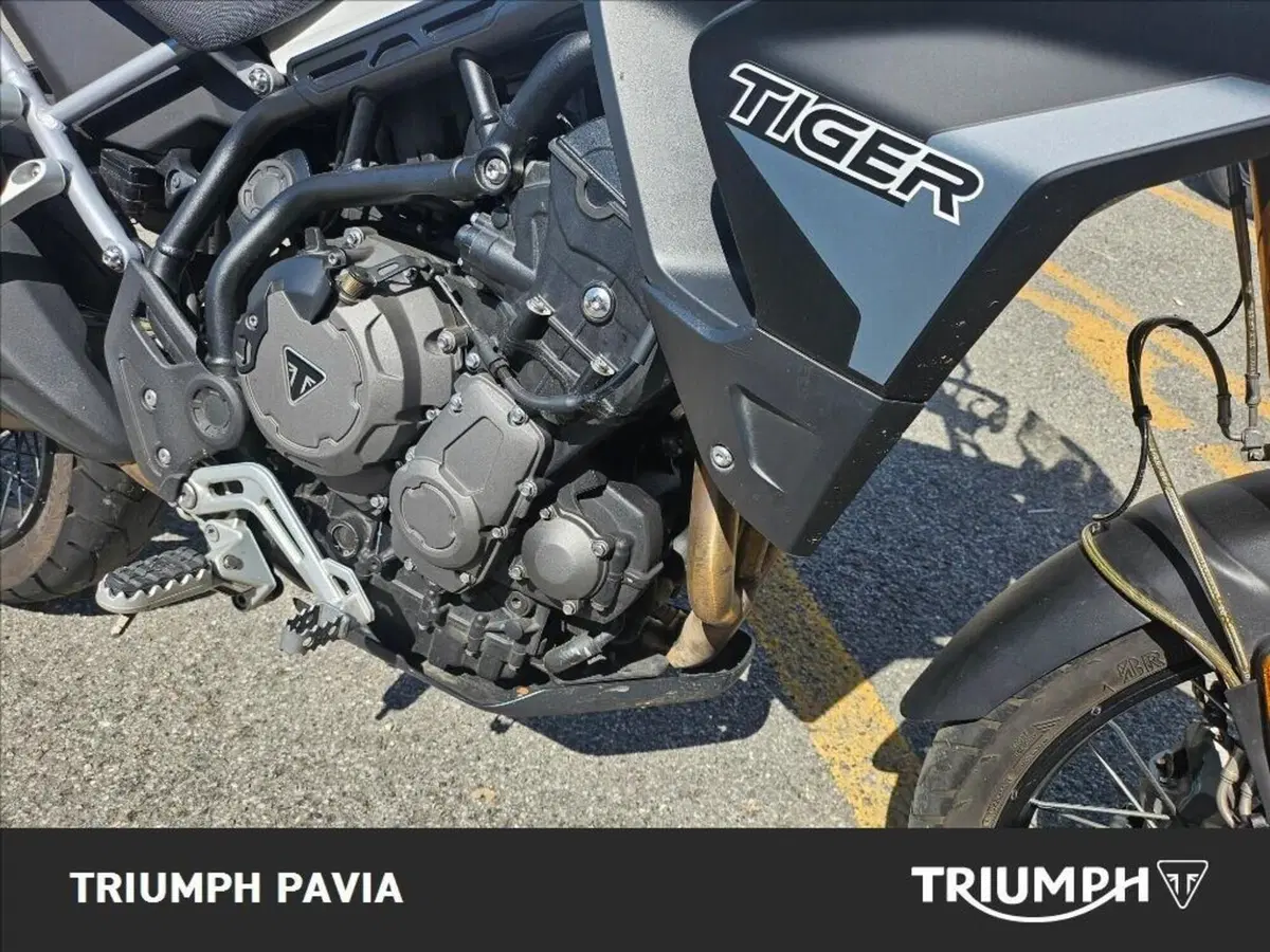 Triumph Tiger 900 Rally (2020 - 23) (14)