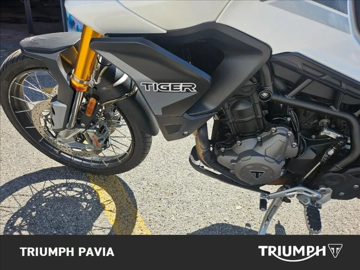 Triumph Tiger 900 Rally (2020 - 23) (10)
