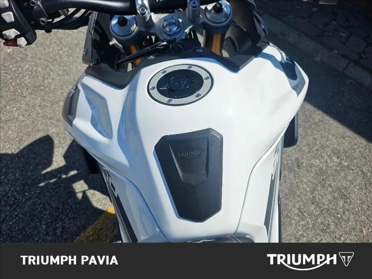 Triumph Tiger 900 Rally (2020 - 23) (19)