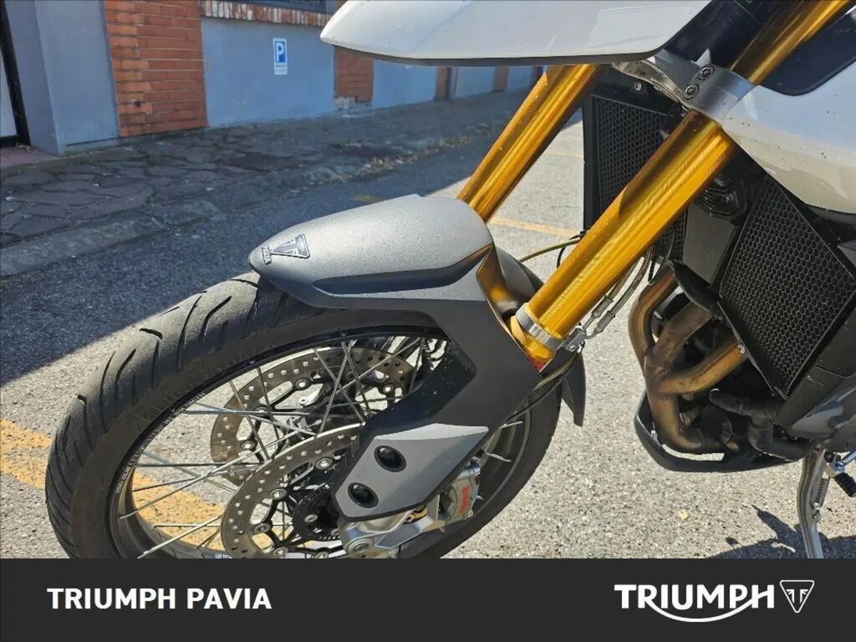Triumph Tiger 900 Rally (2020 - 23) (11)