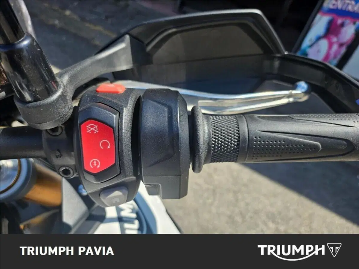 Triumph Tiger 900 Rally (2020 - 23) (21)