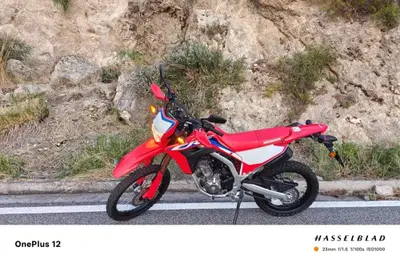 Honda CRF 300L (2021 - 24) usata