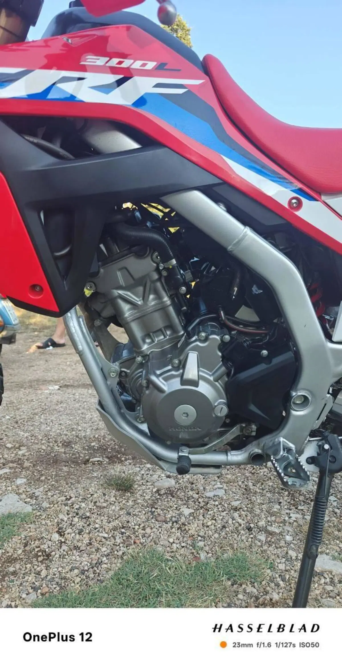 Honda CRF 300L (2021 - 24) (3)
