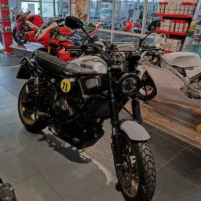 Yamaha XSR 700 Legacy (2023 - 26) usata