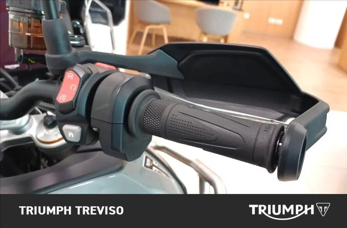 Triumph Tiger 900 Desert Special Edition (2026) (5)