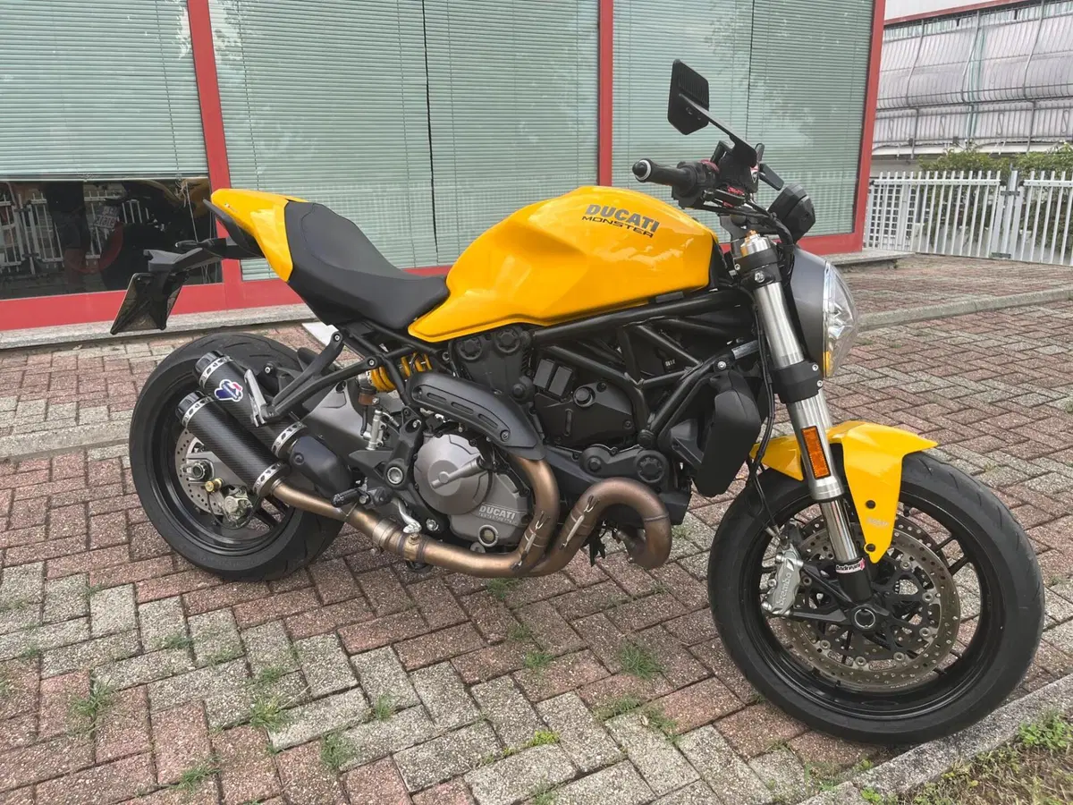 Ducati Monster 821 (2018 - 20) (2)