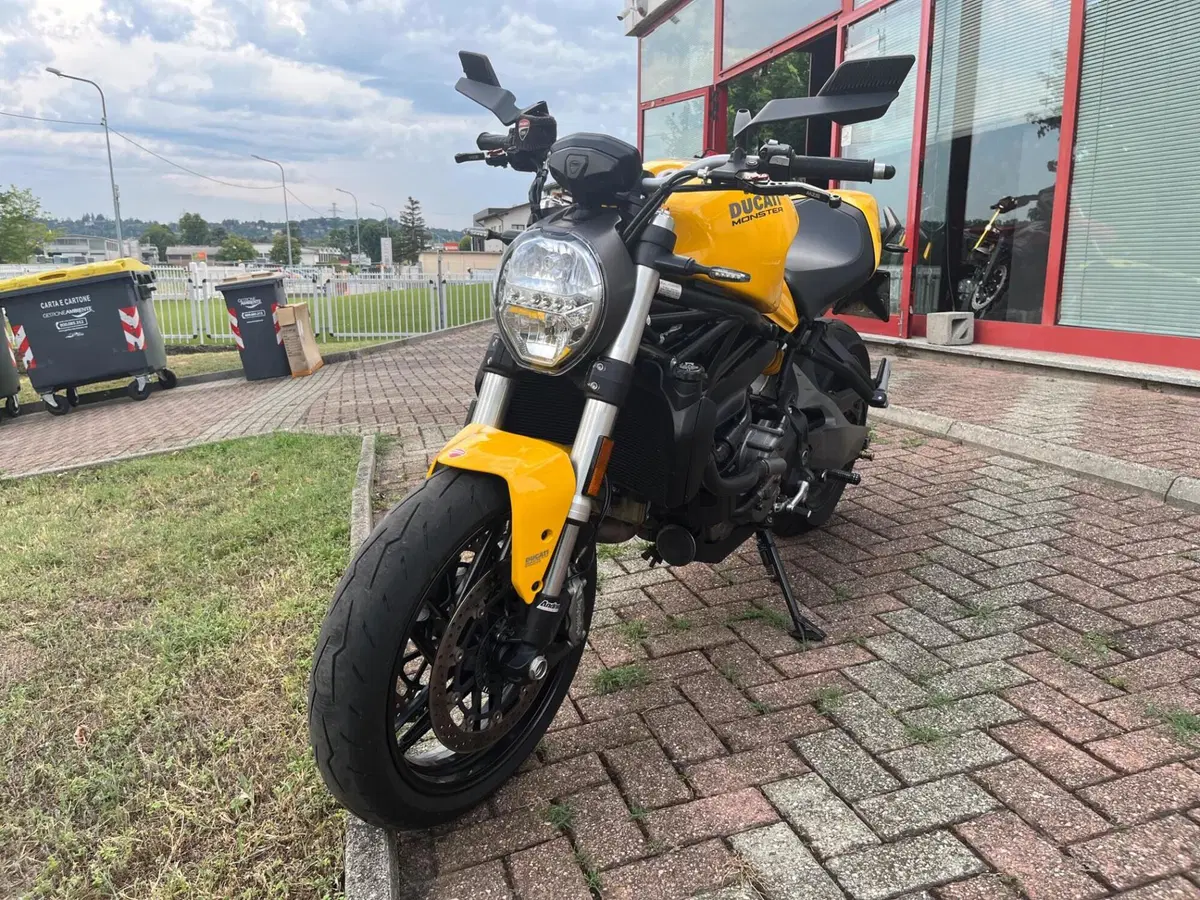 Ducati Monster 821 (2018 - 20) (6)
