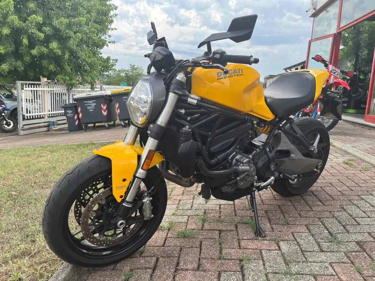 Ducati Monster 821 (2018 - 20) (7)