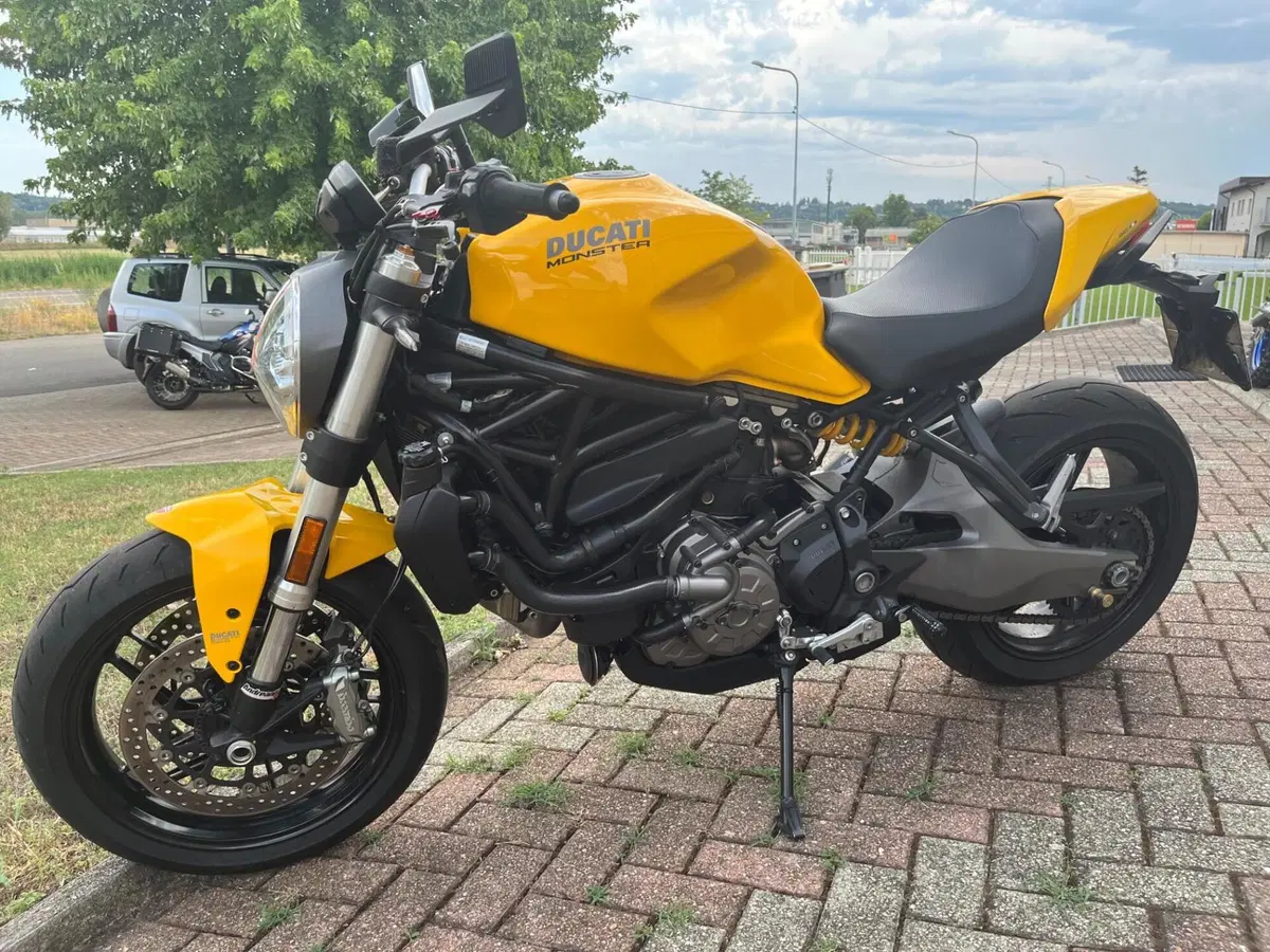Ducati Monster 821 (2018 - 20) (8)