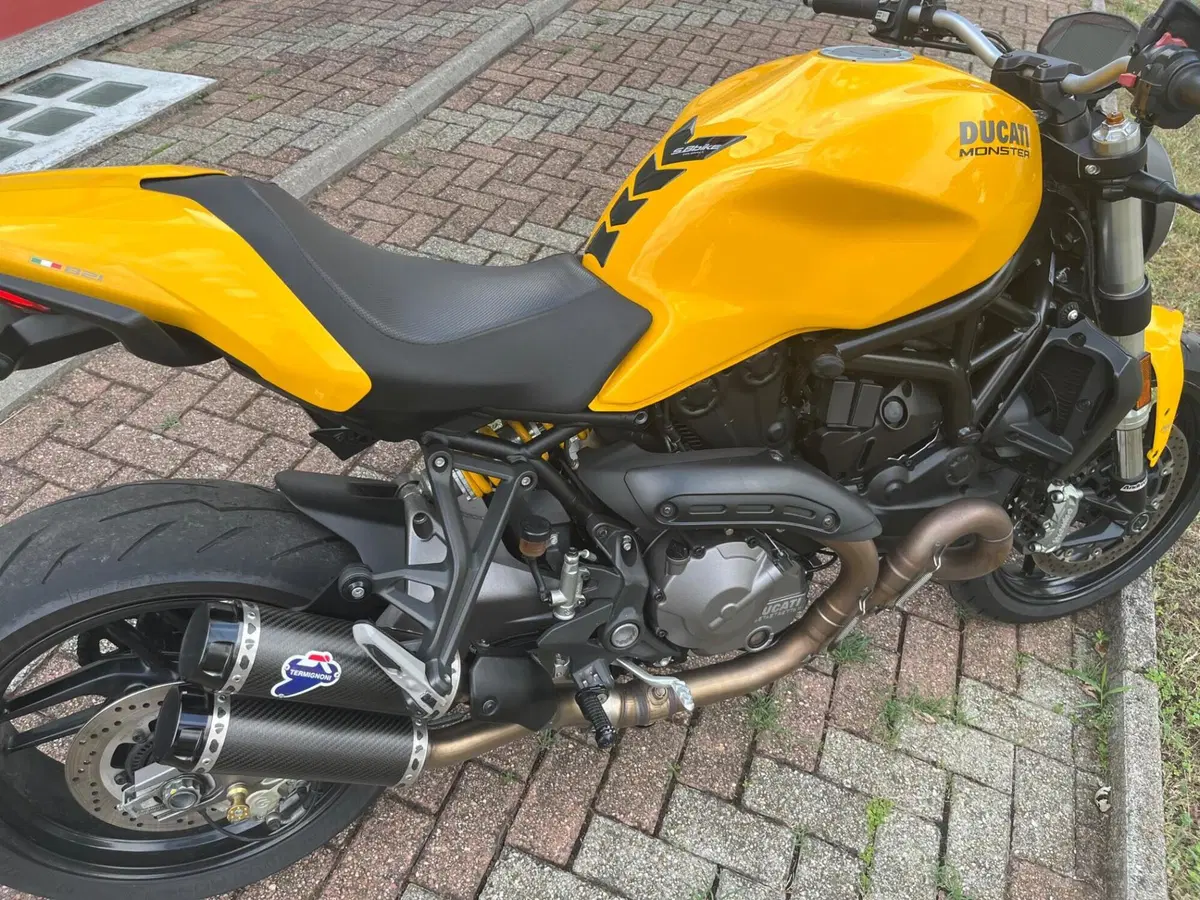 Ducati Monster 821 (2018 - 20) (15)