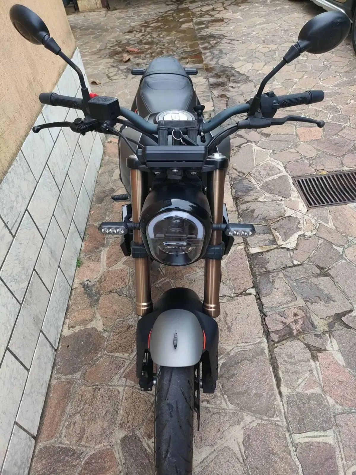 Benelli Leoncino 125 (2022 - 25) (4)
