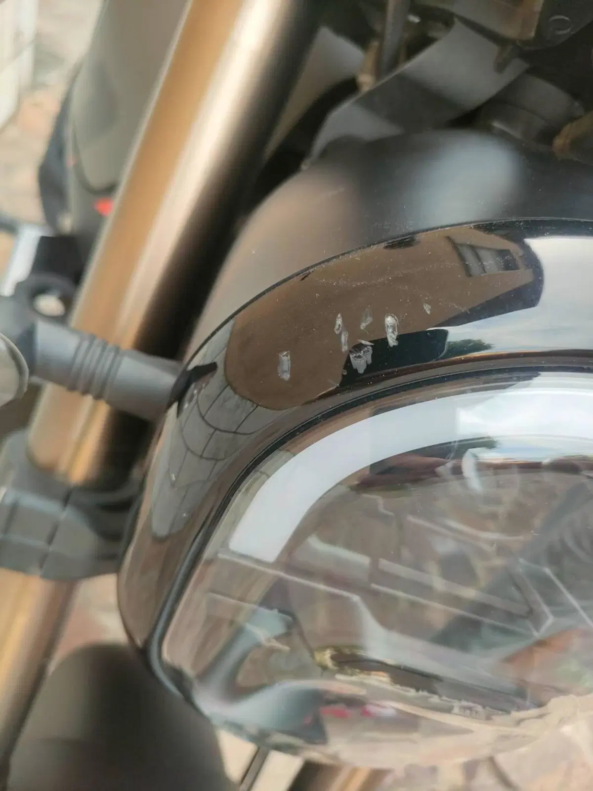 Benelli Leoncino 125 (2022 - 25) (5)