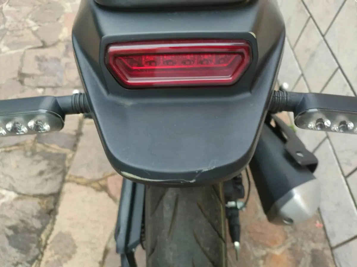 Benelli Leoncino 125 (2022 - 25) (8)