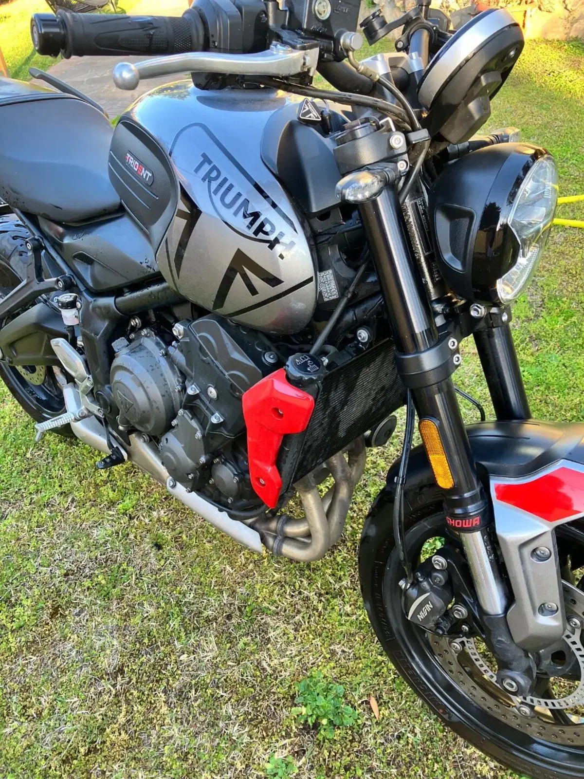 Triumph Trident 660 (2021 - 24) (5)
