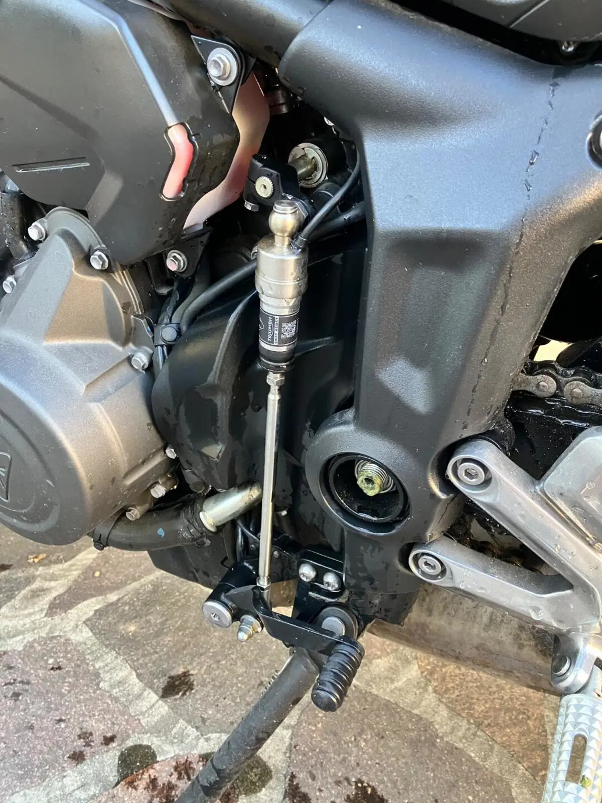 Triumph Trident 660 (2021 - 24) (6)
