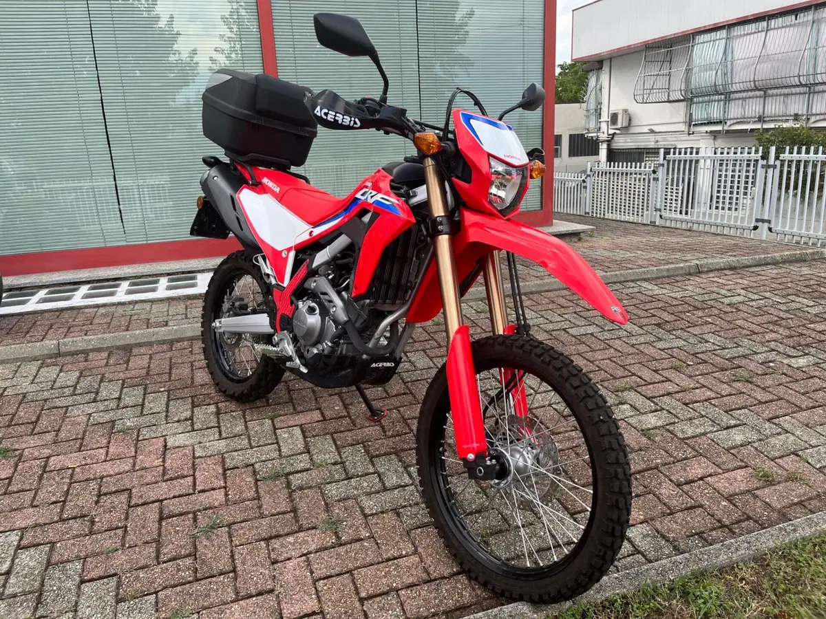 Honda CRF 300L (2021 - 24) (3)