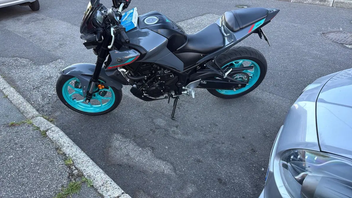 Yamaha MT-03 (2022 - 24) (6)