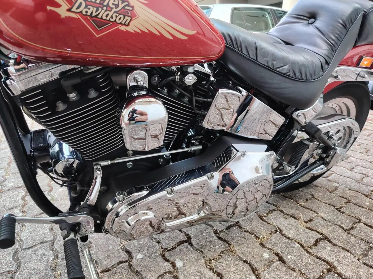 Harley-Davidson 1340 Custom (1989 - 98) (4)