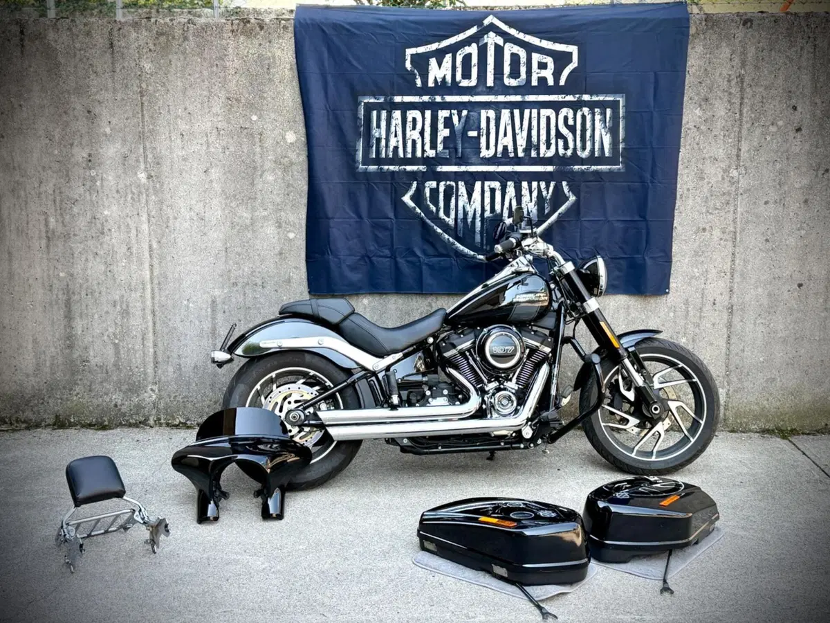 Harley-Davidson 107 Sport Glide (2018 - 20) (3)