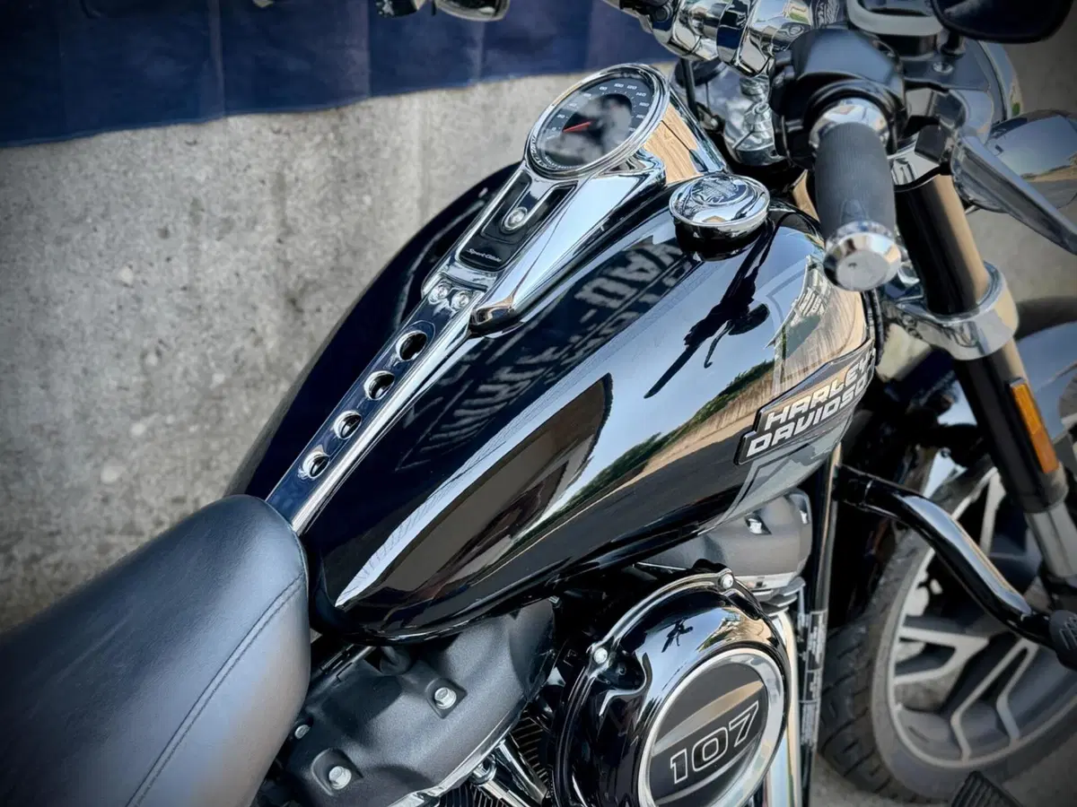 Harley-Davidson 107 Sport Glide (2018 - 20) (4)