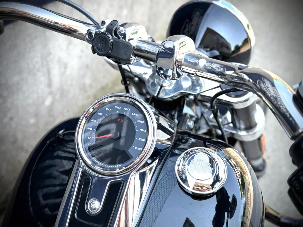 Harley-Davidson 107 Sport Glide (2018 - 20) (5)