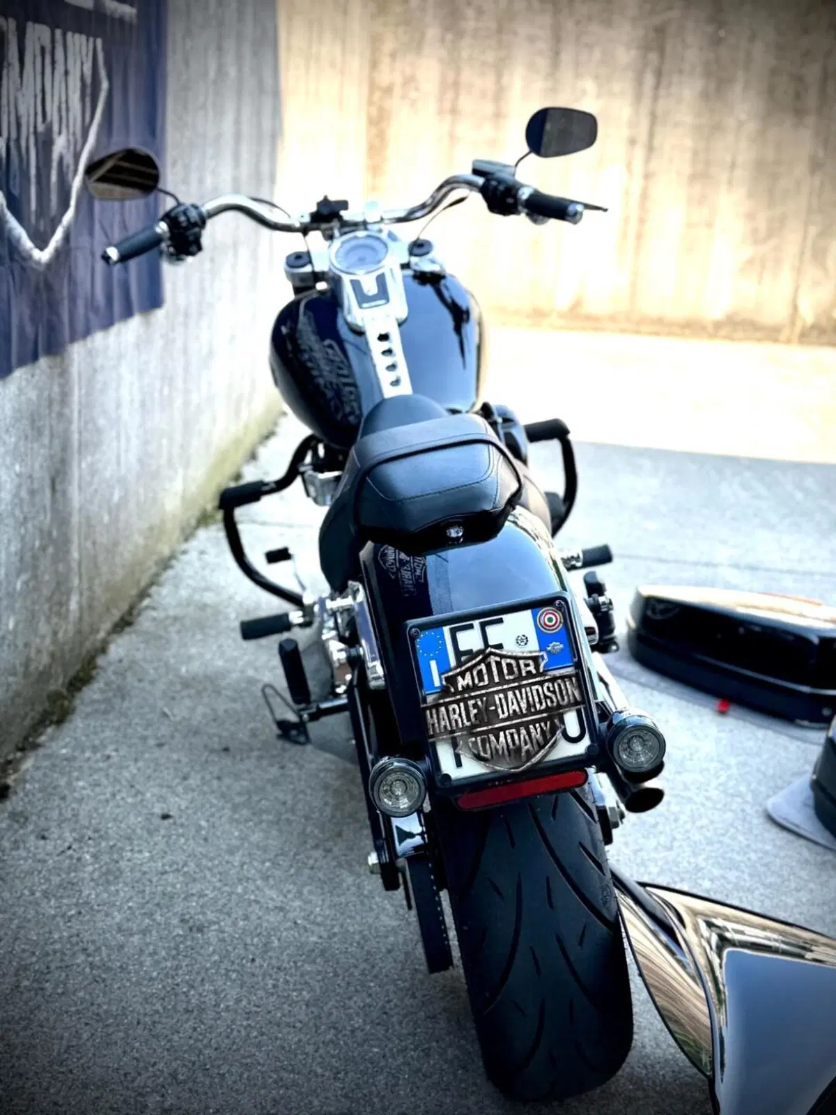 Harley-Davidson 107 Sport Glide (2018 - 20) (7)