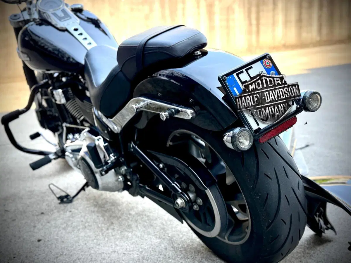 Harley-Davidson 107 Sport Glide (2018 - 20) (8)