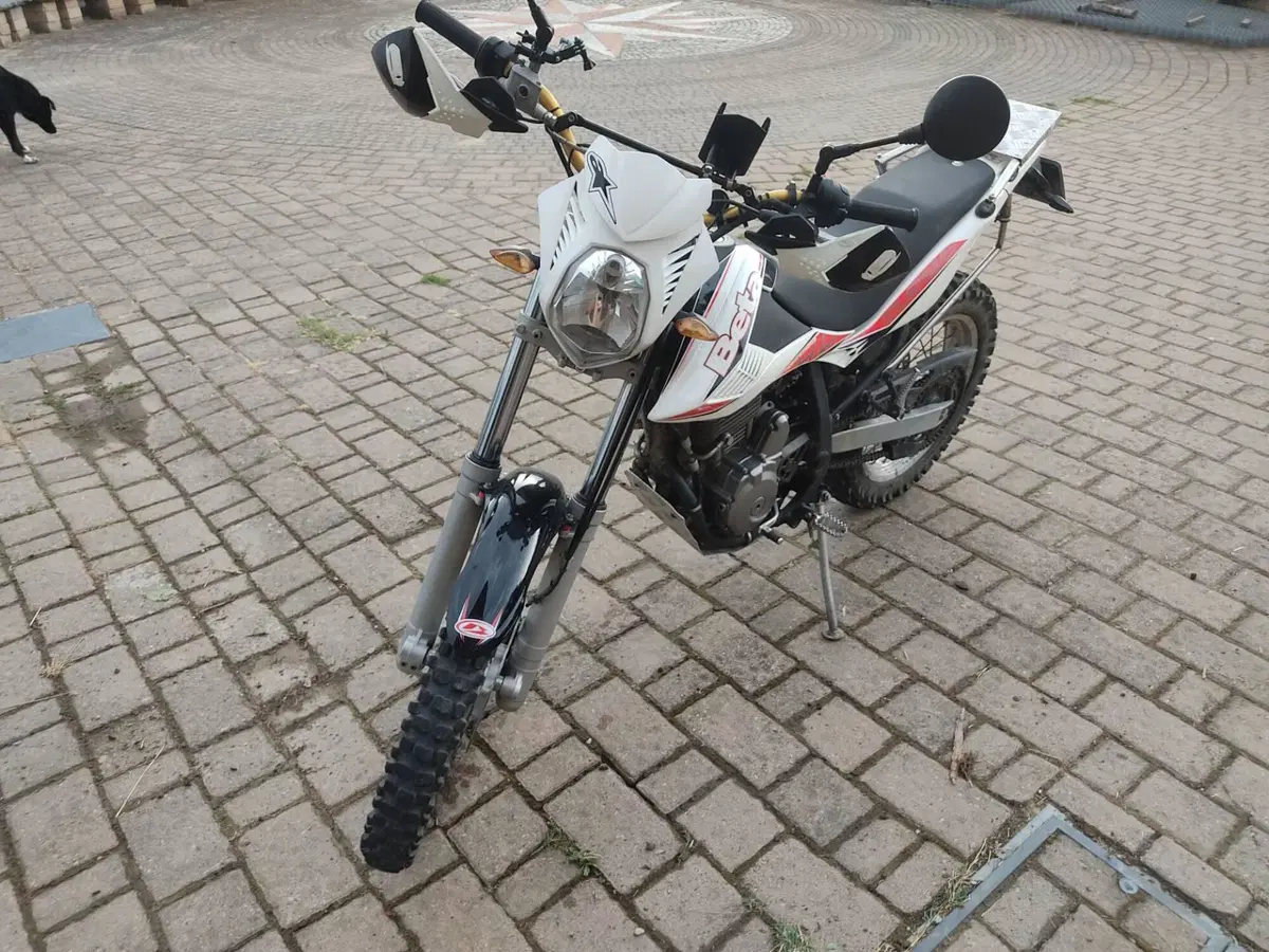 Betamotor Alp 4.0 (2008 - 17)