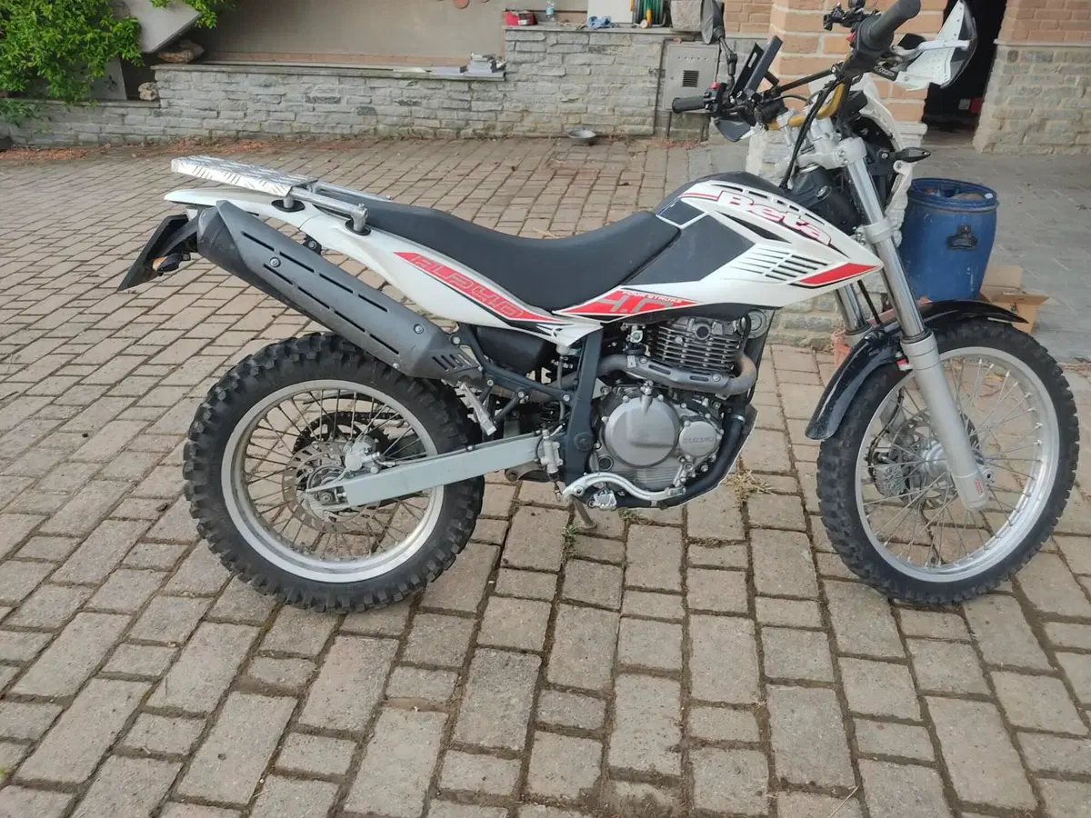 Betamotor Alp 4.0 (2008 - 17) (2)