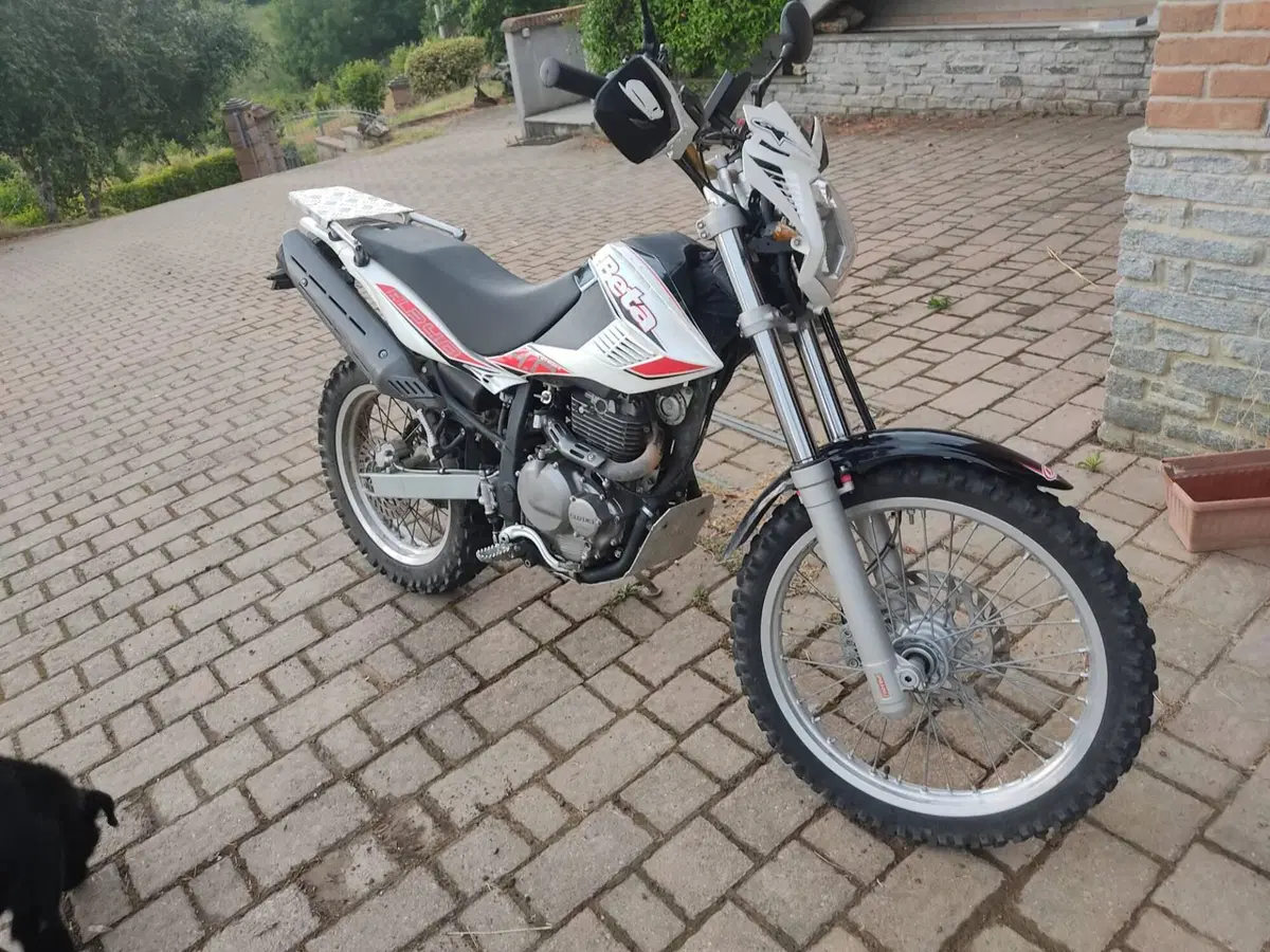 Betamotor Alp 4.0 (2008 - 17) (3)