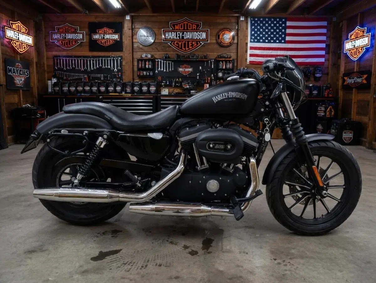 Harley-Davidson 883 Iron (2012 - 14) - XL 883N (2)