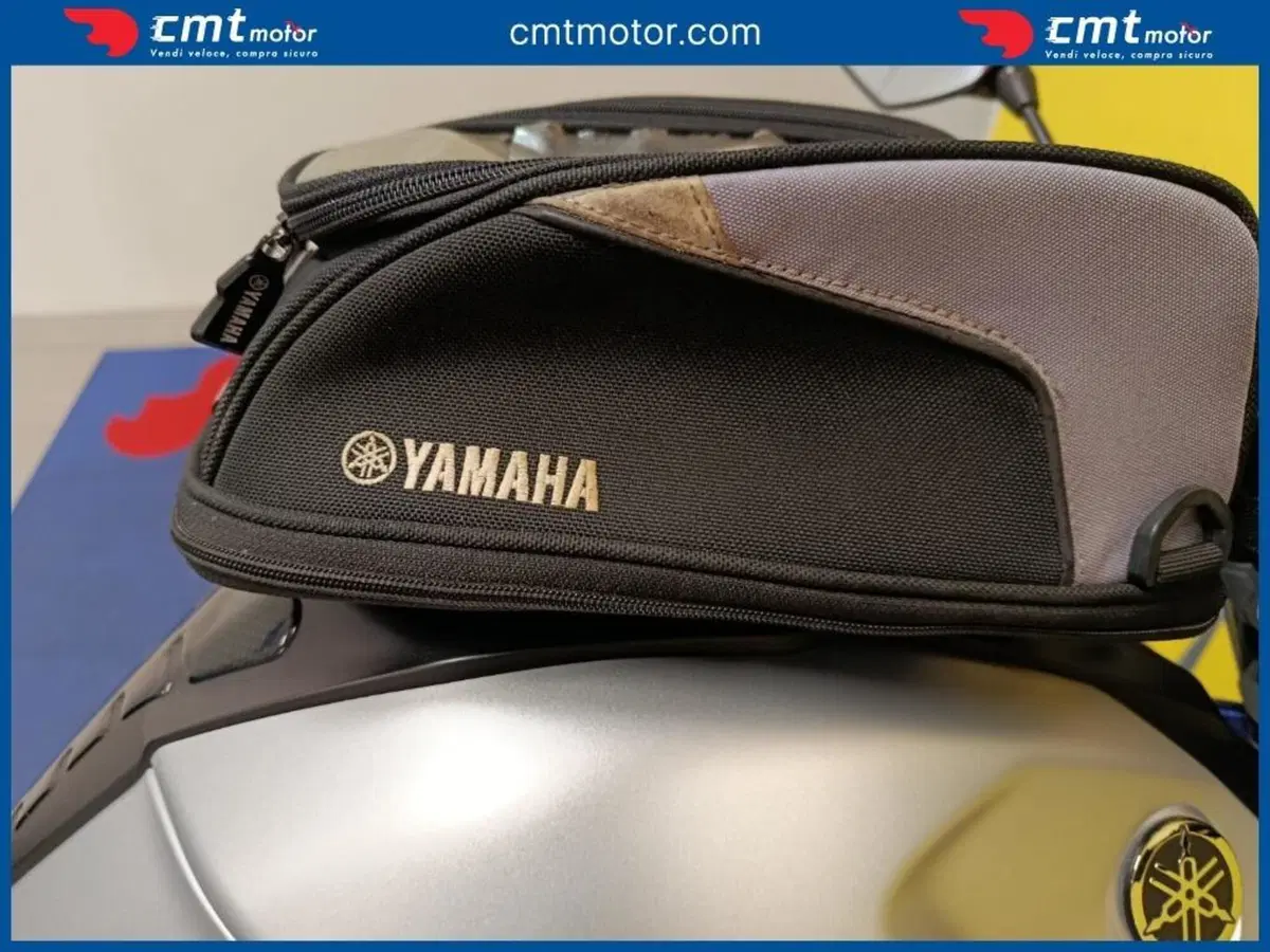 Yamaha MT-03 (2016 - 17) (6)