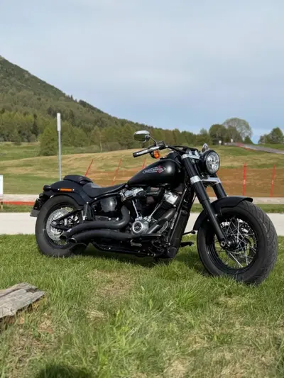 Harley-Davidson 107 Slim (2018 - 20) - FLSL usata