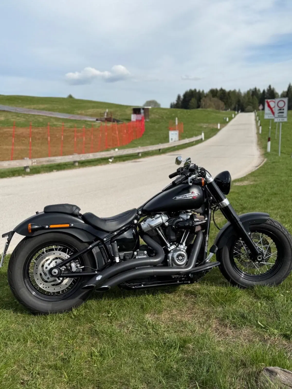Harley-Davidson 107 Slim (2018 - 20) - FLSL (2)