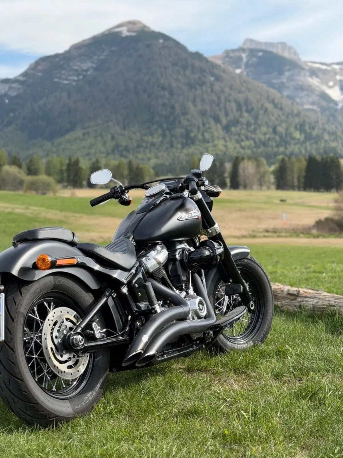 Harley-Davidson 107 Slim (2018 - 20) - FLSL (3)