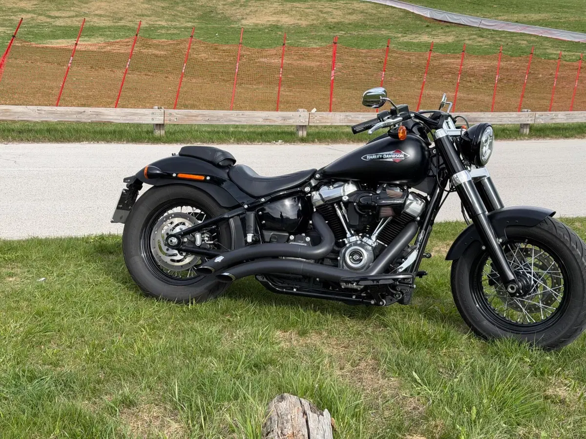 Harley-Davidson 107 Slim (2018 - 20) - FLSL (4)