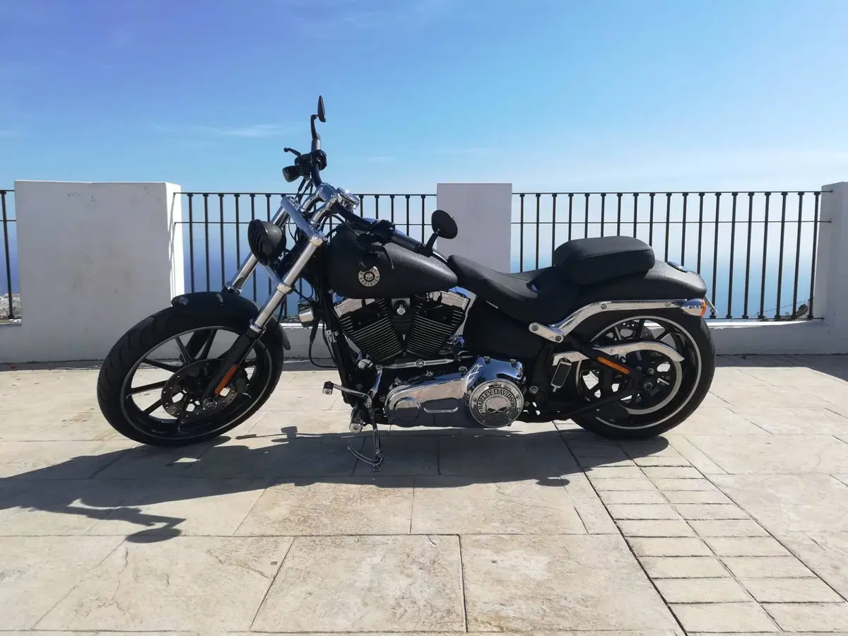 Harley-Davidson 1690 Breakout (2013 - 17) - FXSB
