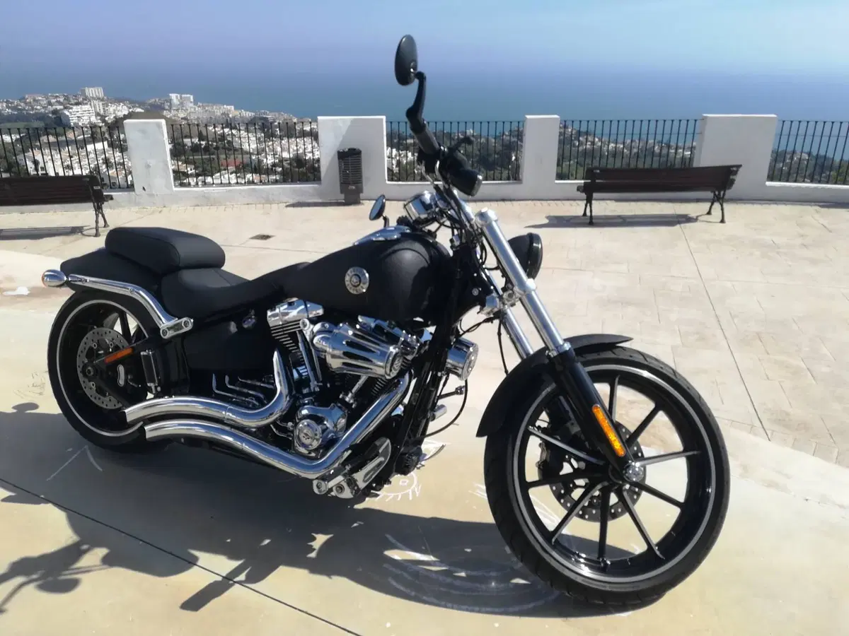 Harley-Davidson 1690 Breakout (2013 - 17) - FXSB (4)