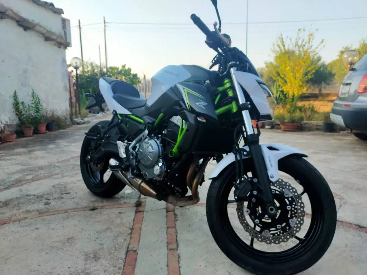 Kawasaki Z 650 (2017 - 19) (12)