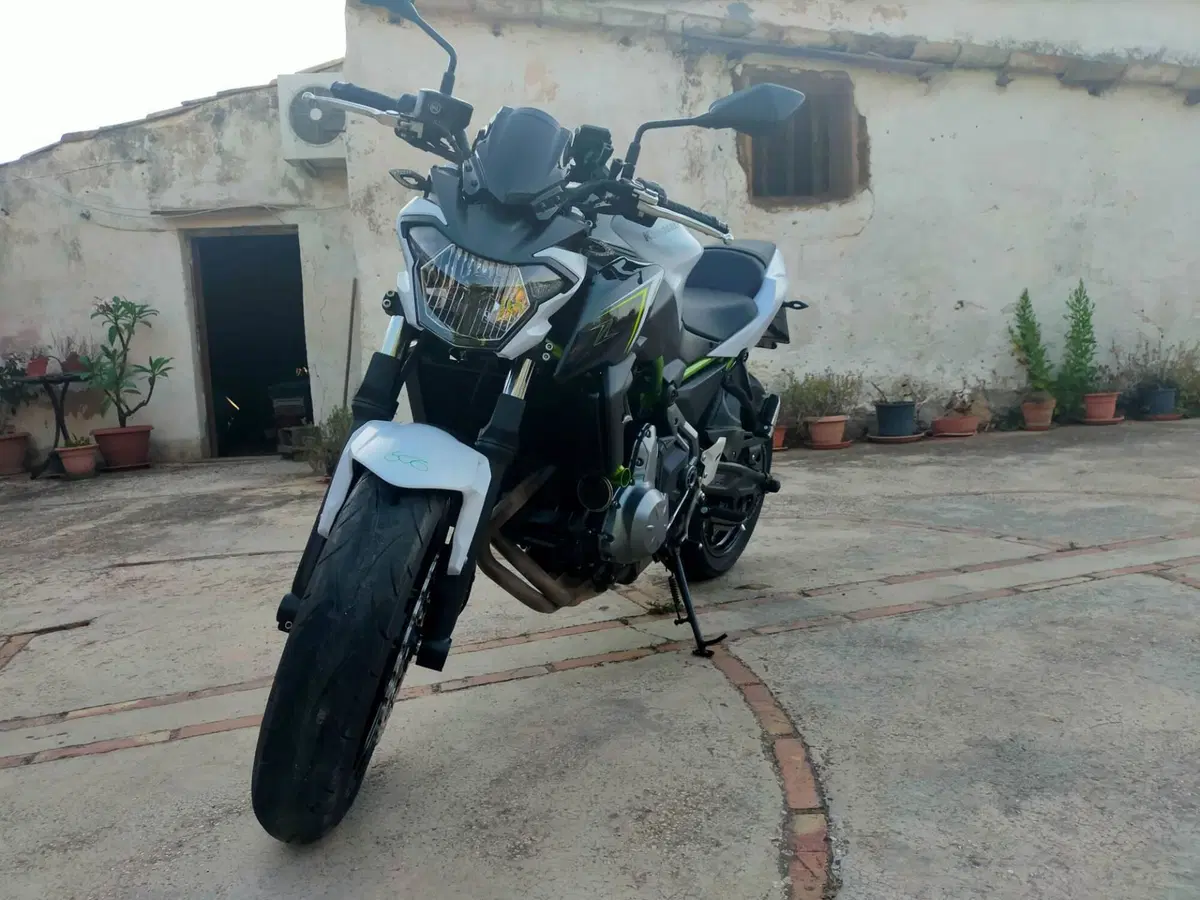 Kawasaki Z 650 (2017 - 19) (15)