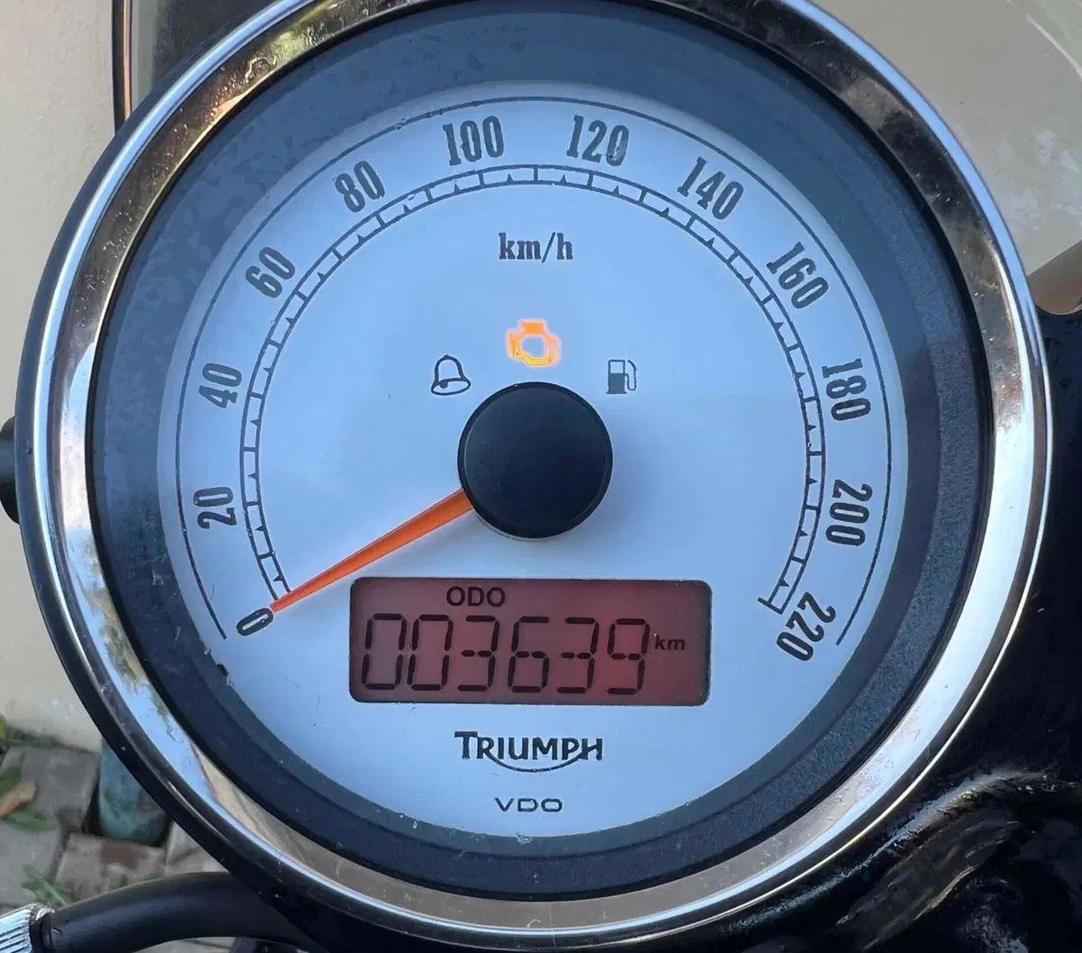 Triumph Thruxton 900 ACE (2014 - 15) (4)