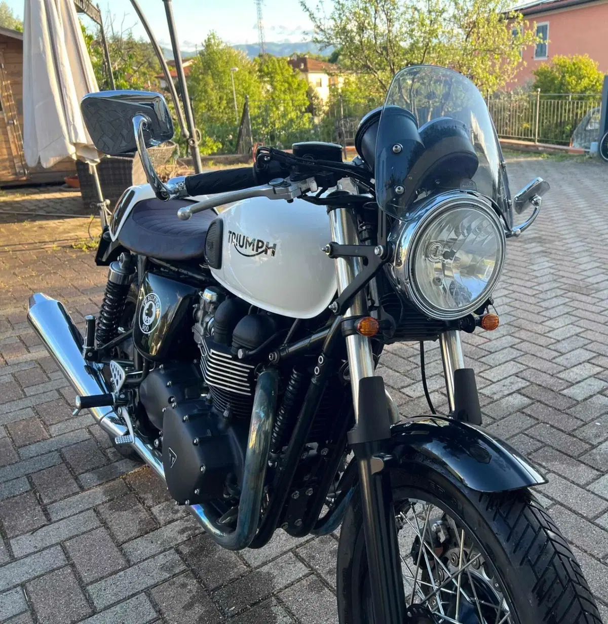 Triumph Thruxton 900 ACE (2014 - 15) (5)
