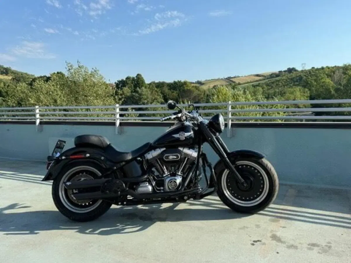 Harley-Davidson 1584 Fat Boy (2008 - 10) - FLSTF (3)