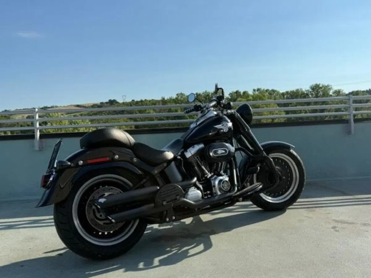 Harley-Davidson 1584 Fat Boy (2008 - 10) - FLSTF (4)