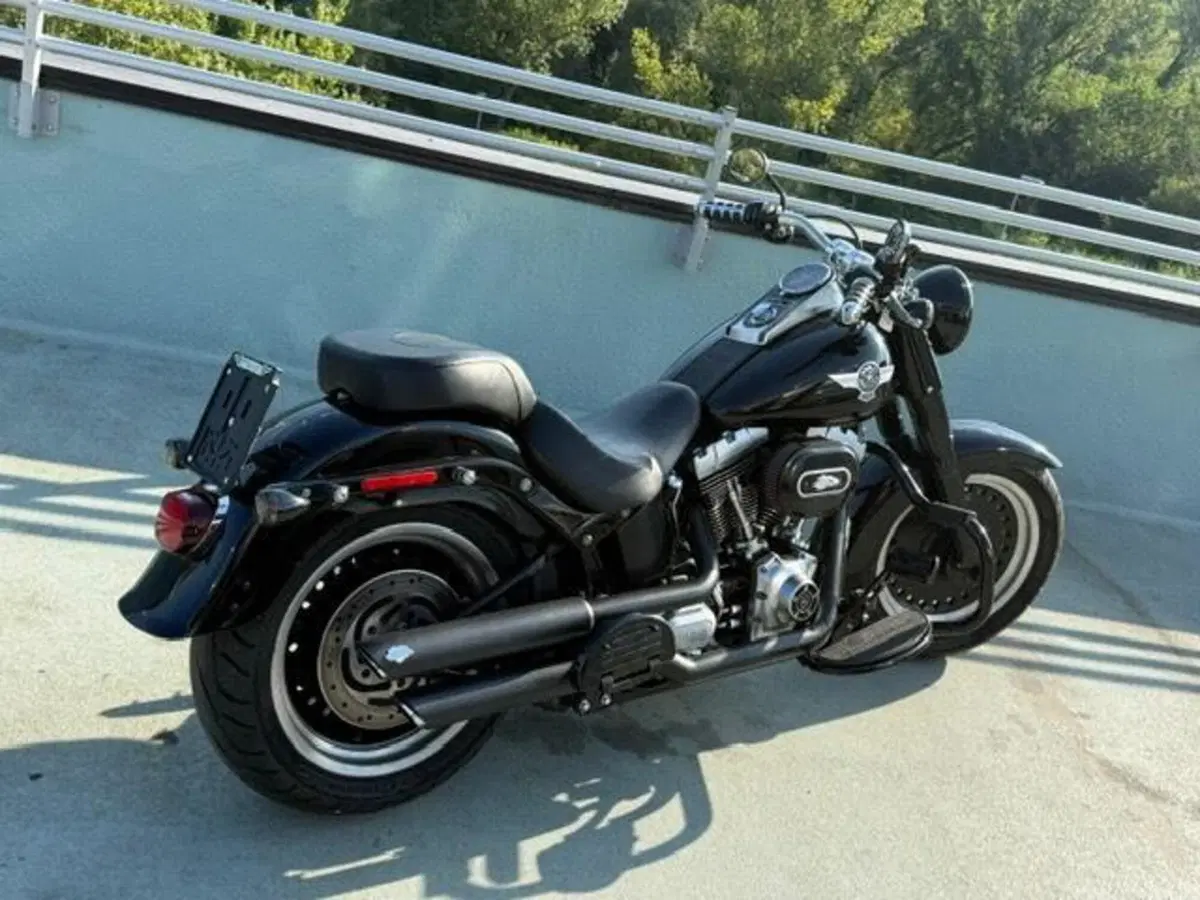 Harley-Davidson 1584 Fat Boy (2008 - 10) - FLSTF (5)