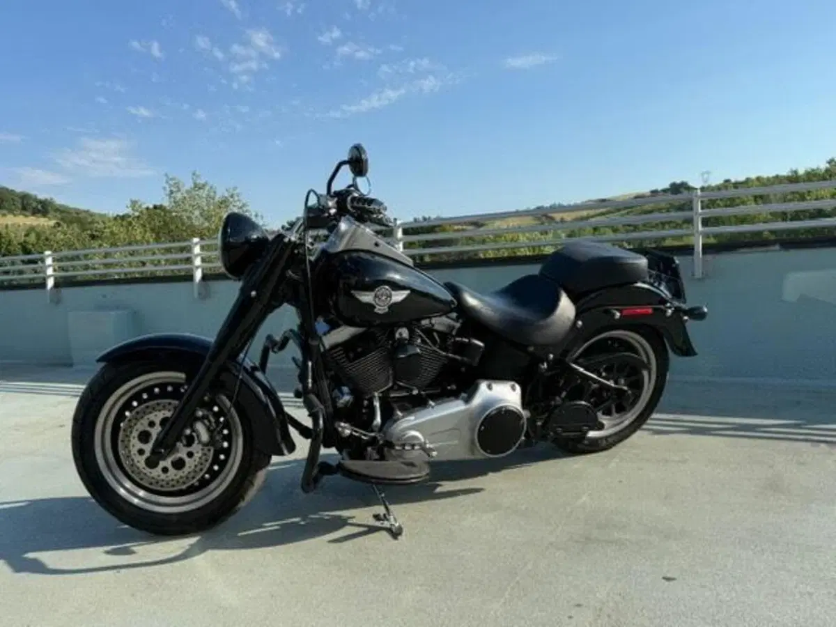 Harley-Davidson 1584 Fat Boy (2008 - 10) - FLSTF (6)