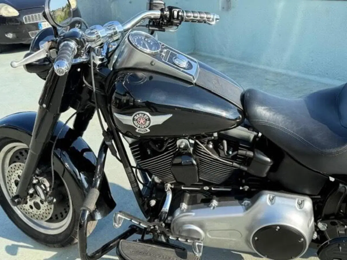 Harley-Davidson 1584 Fat Boy (2008 - 10) - FLSTF (8)