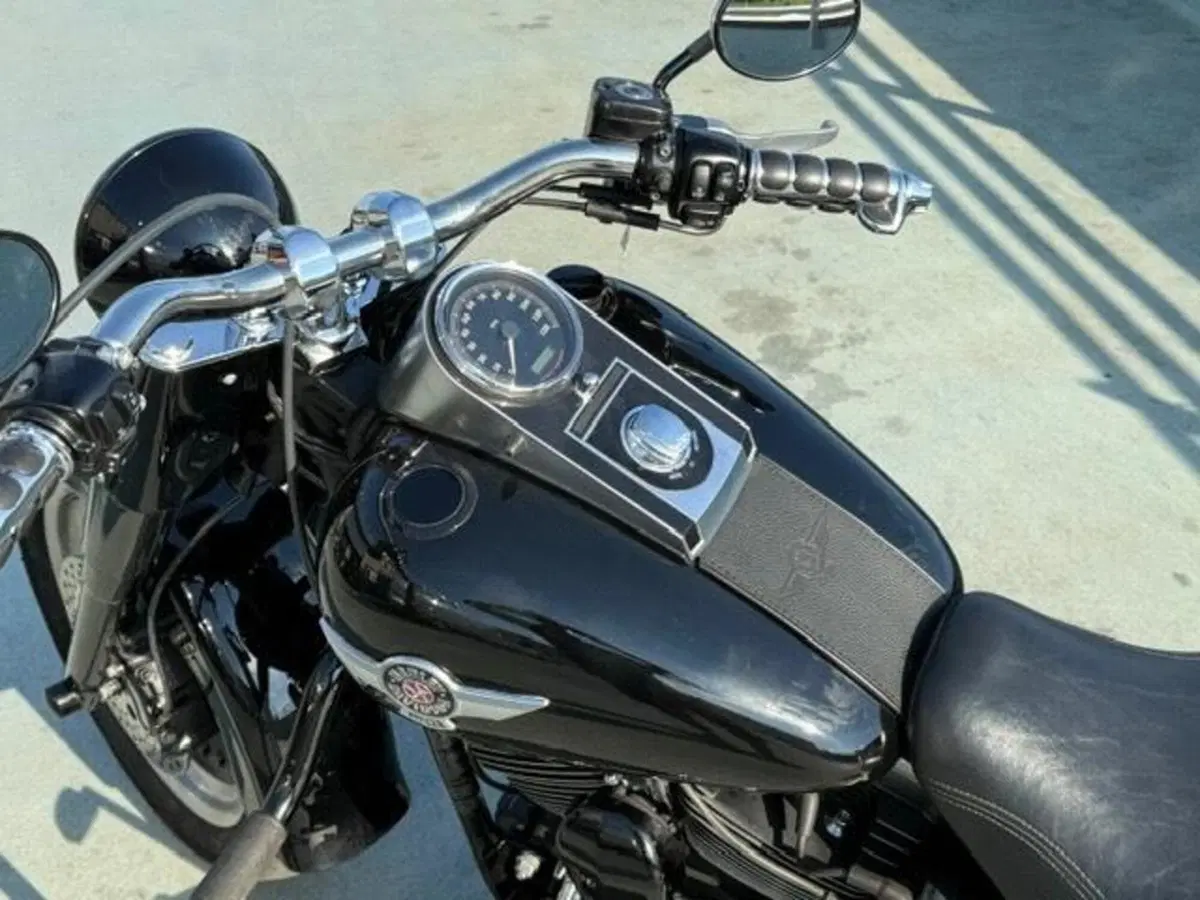 Harley-Davidson 1584 Fat Boy (2008 - 10) - FLSTF (10)