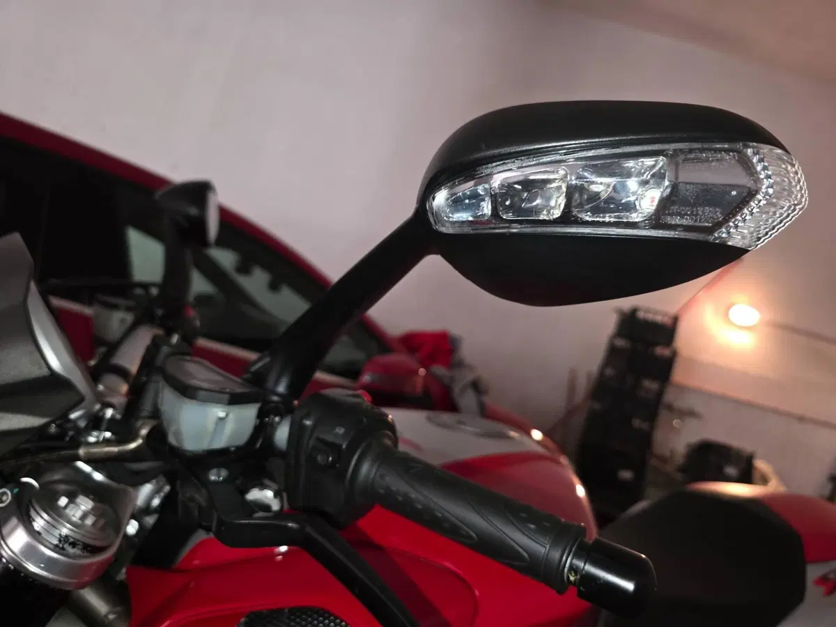 MV Agusta Brutale 1090 RR (2009 - 15) (10)