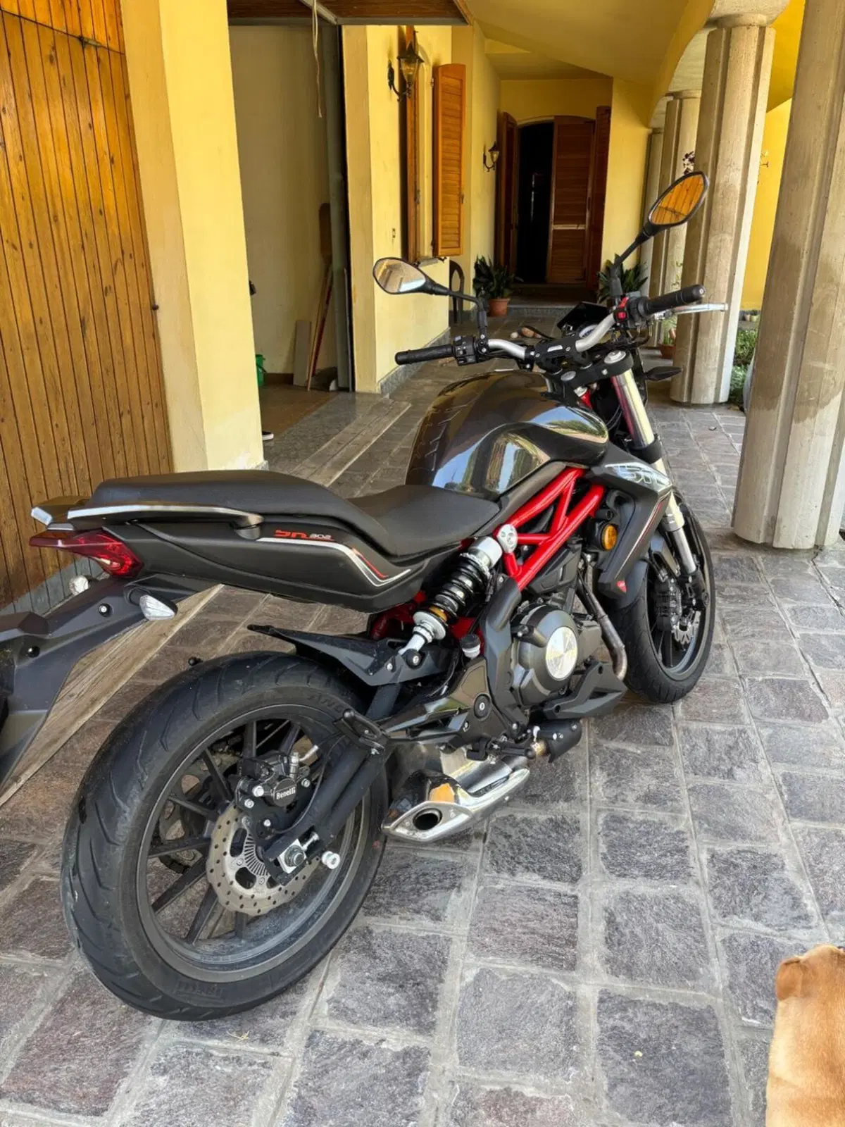 Benelli BN 302 (2017 - 19) (4)